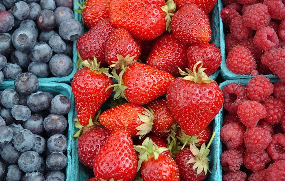 healthy and colorful berries