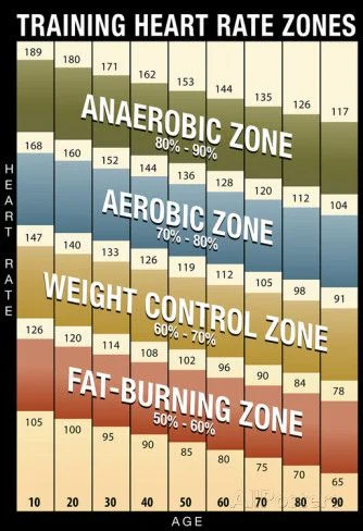 Heart rate zones graphic