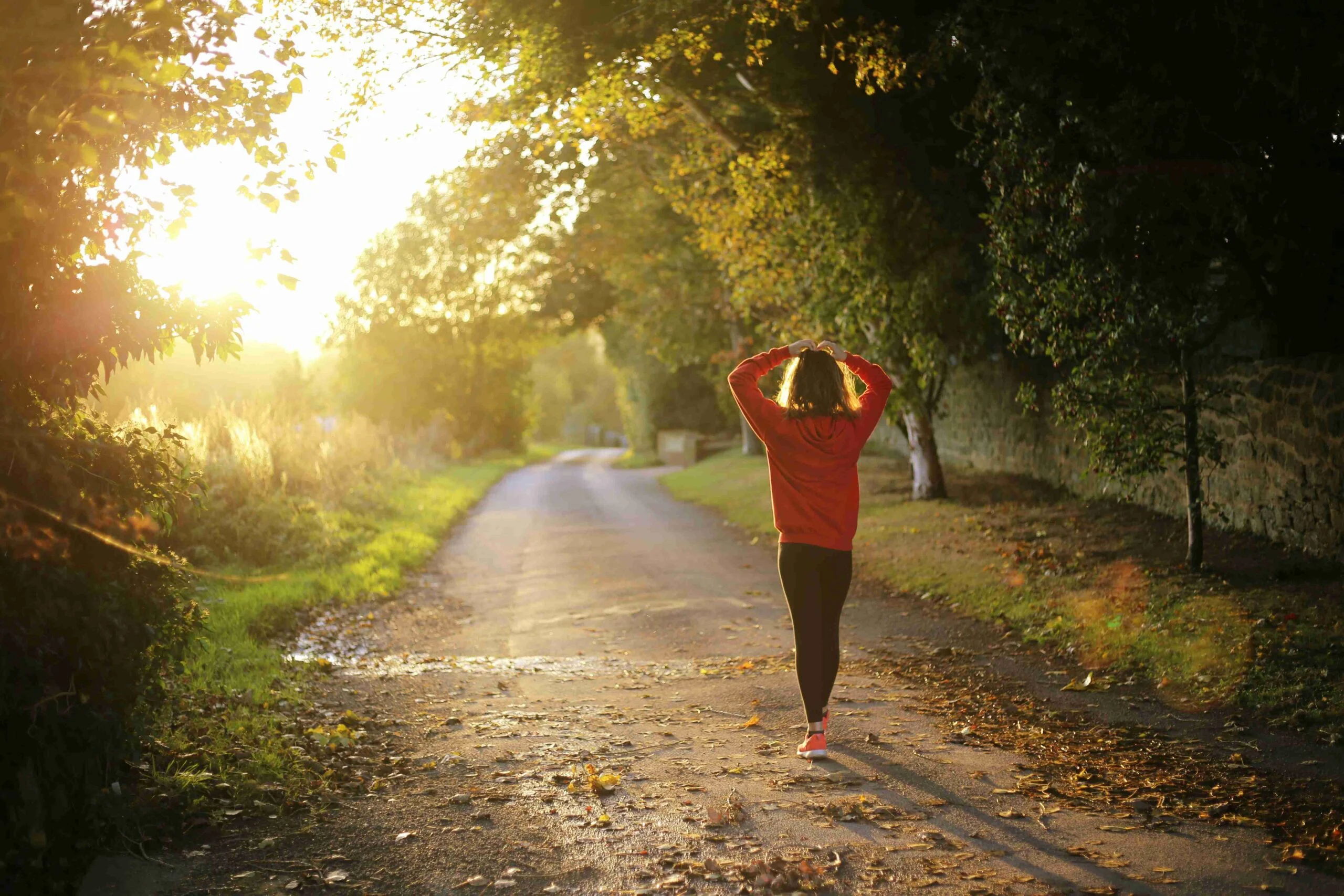 image of a person walking down a path at sunset