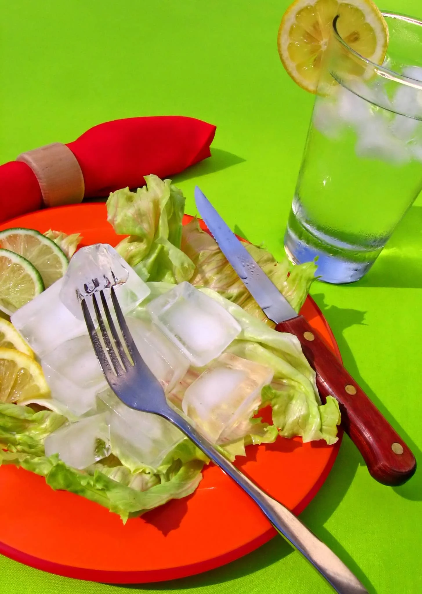 A glass of water and plate holding ice cubes and lettuce, representing a lack of nutrition