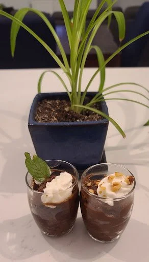 Finished avocado puddings in front of a plant