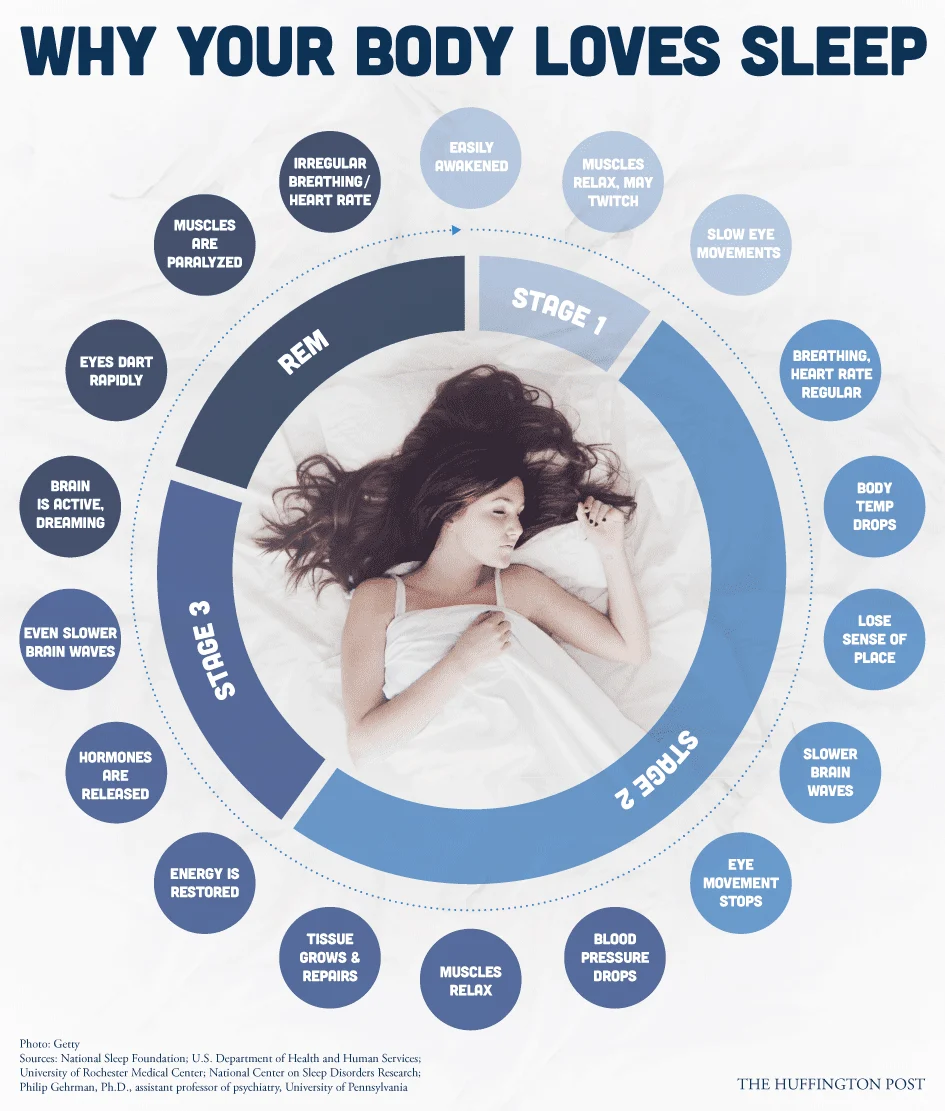 Infographic on sleep