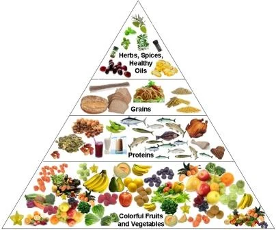 Nutrition food pyramid
