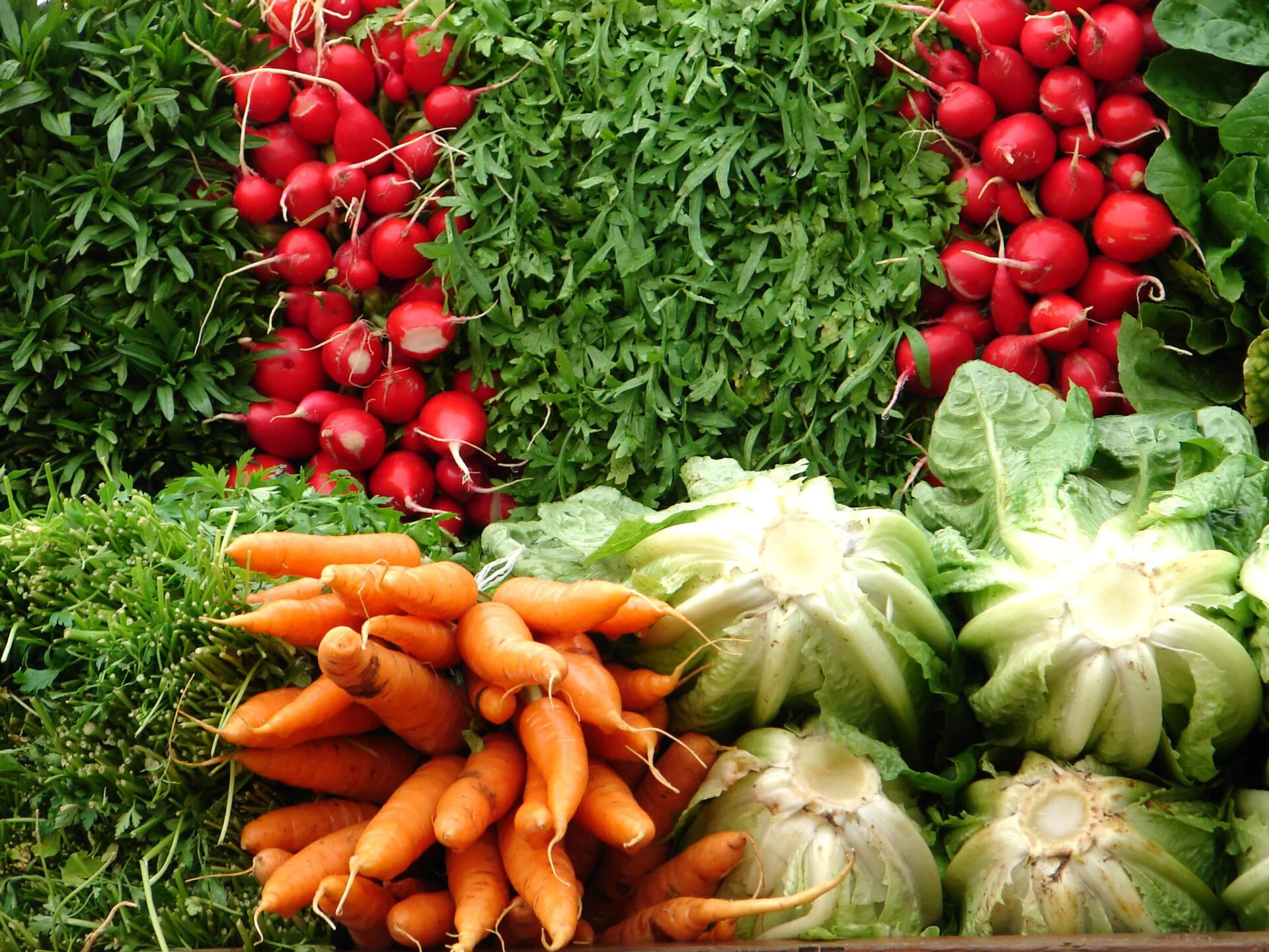 Nutritious fresh vegetables